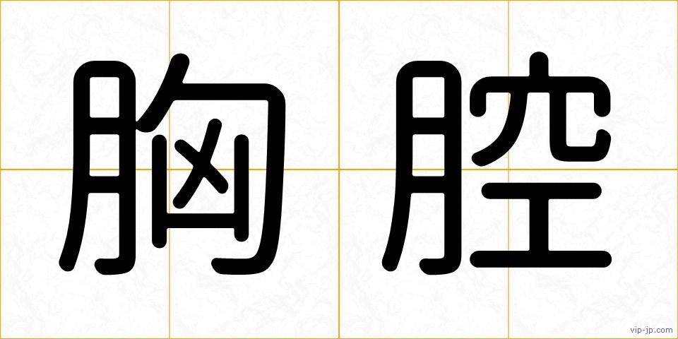 胸腔の画像