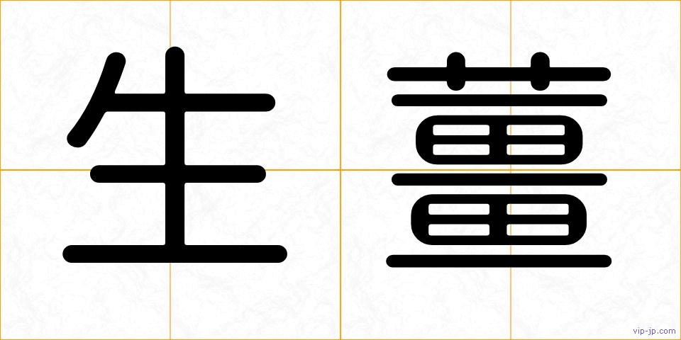 生薑の画像