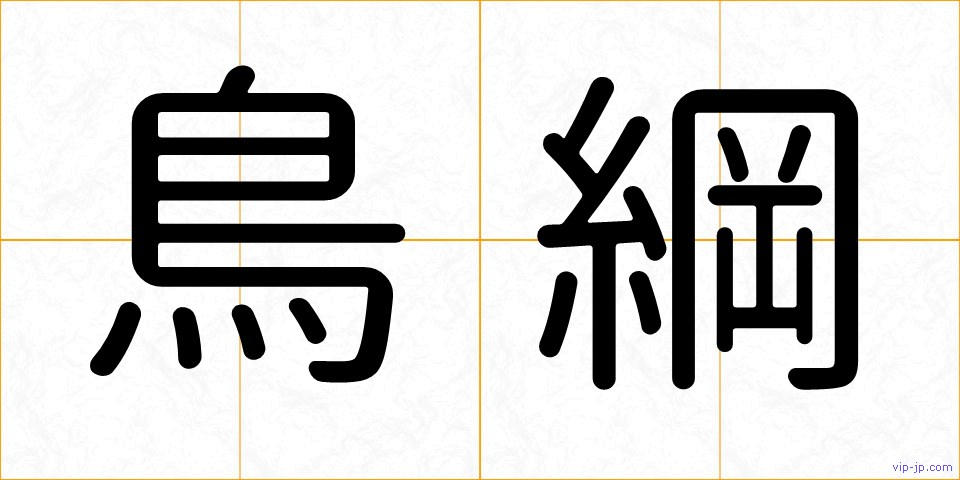 鳥綱の画像
