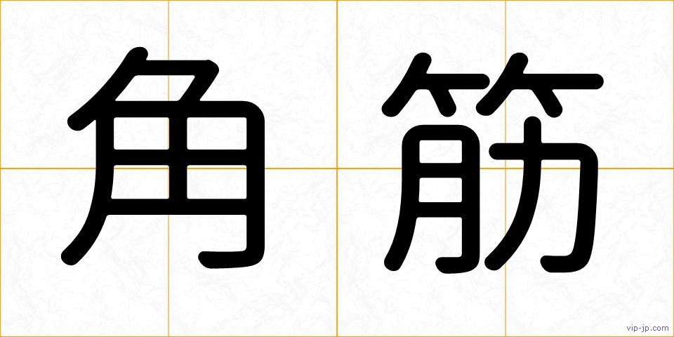 角筋の画像
