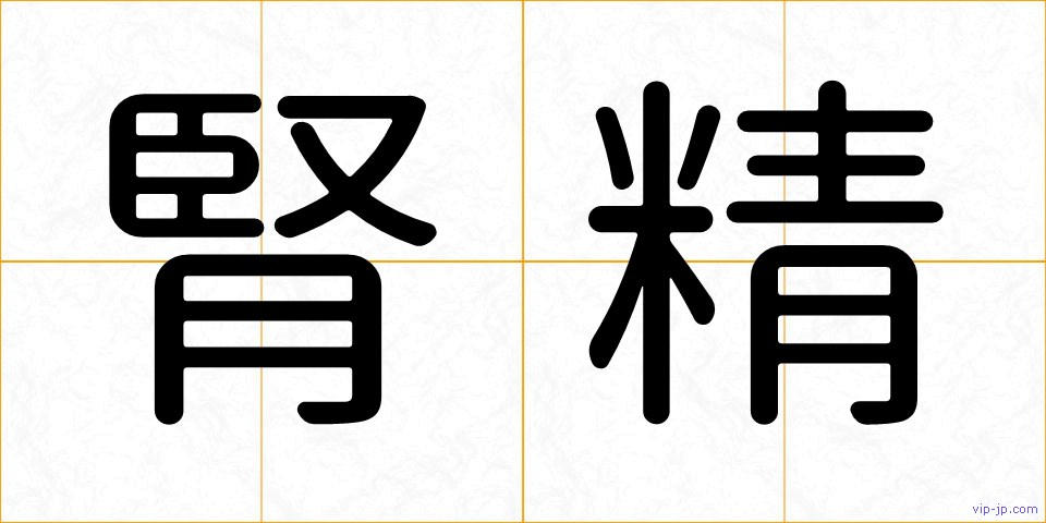 腎精の画像