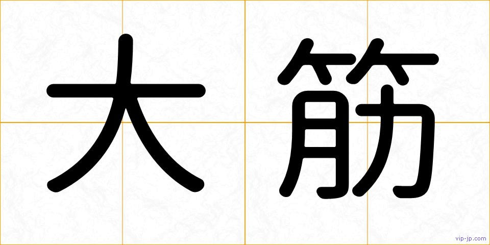 大筋の画像