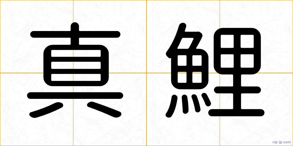 真鯉の画像