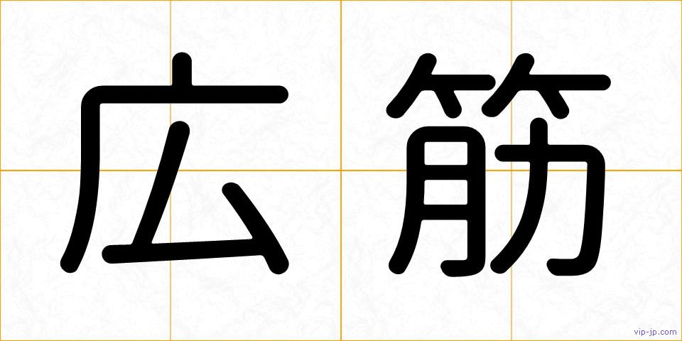 広筋の画像
