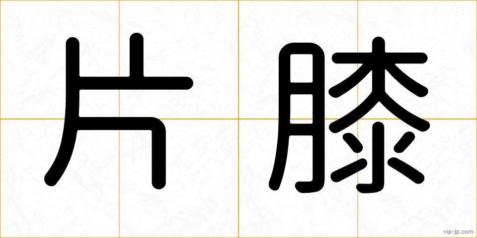 片膝の画像