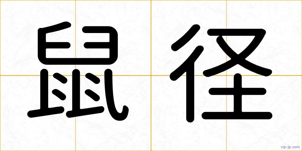 鼠径の画像