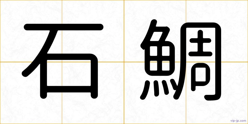 石鯛の画像