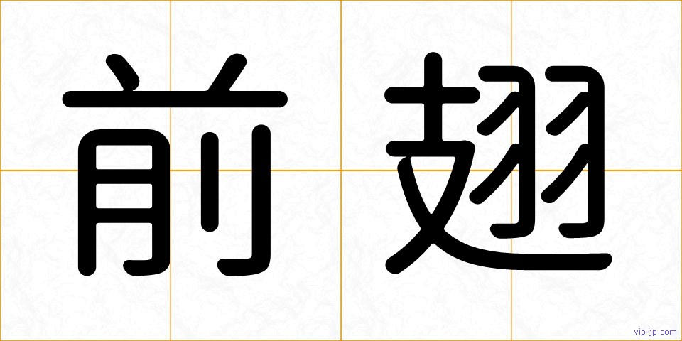 前翅の画像