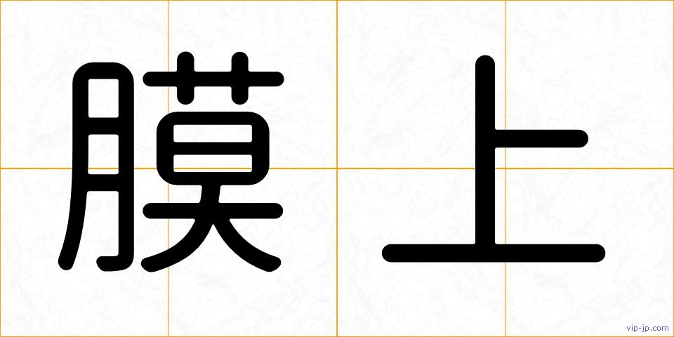 膜上の画像