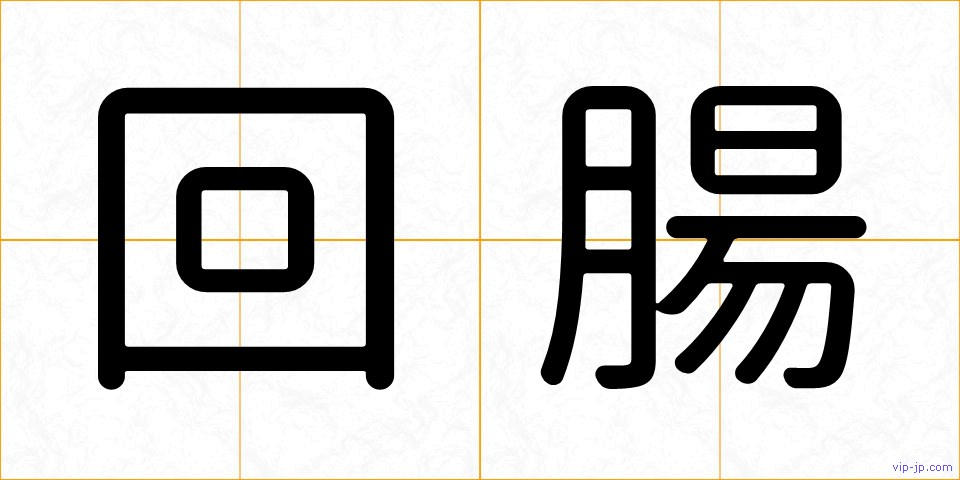 回腸の画像