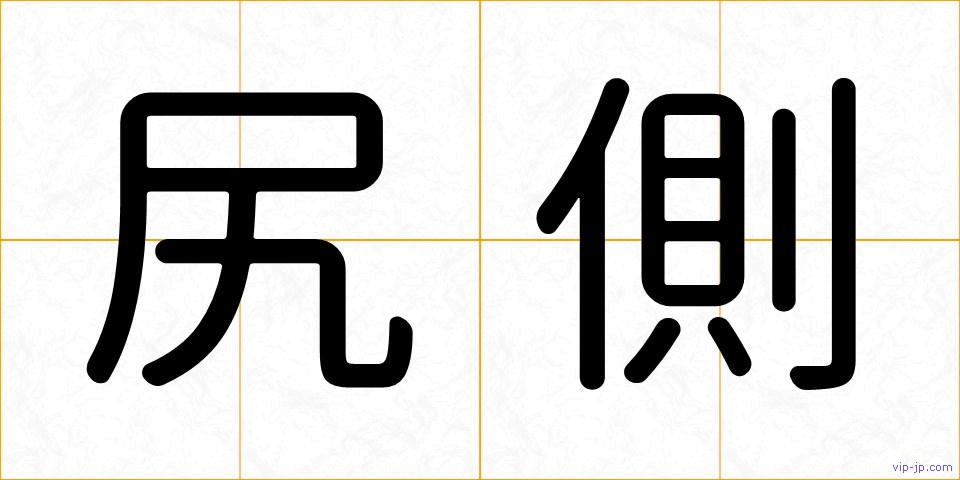尻側の画像