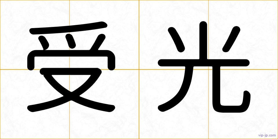 受光の画像