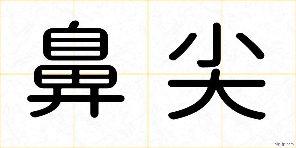 鼻尖の画像