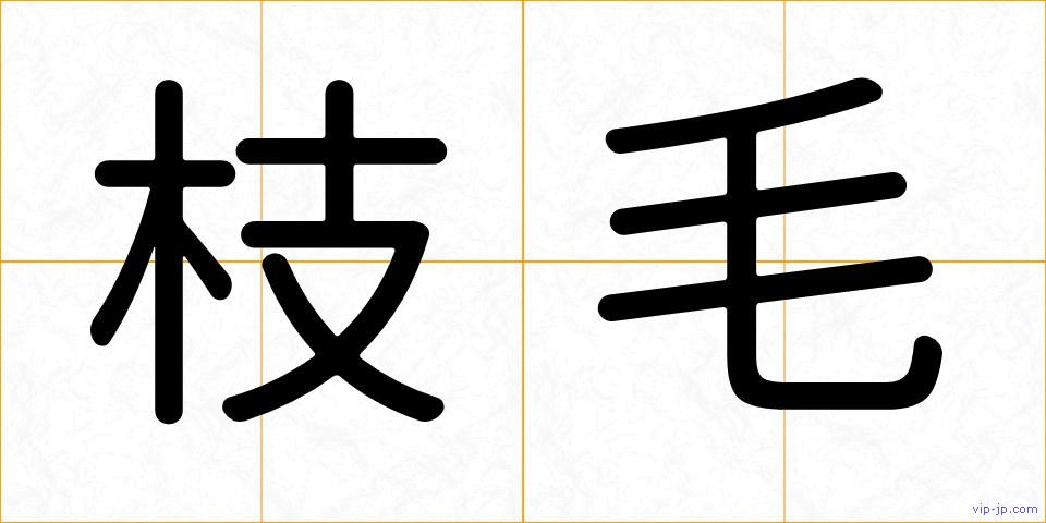 枝毛の画像