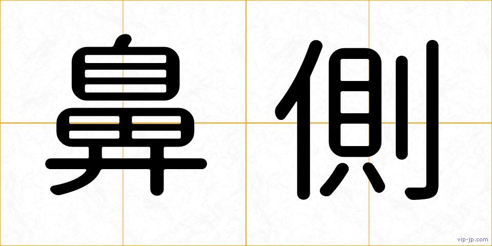 鼻側の画像