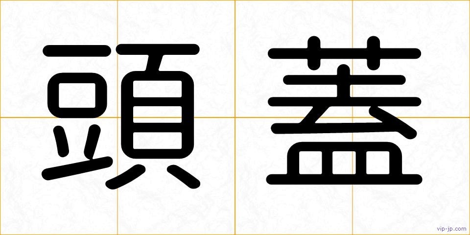頭蓋の画像