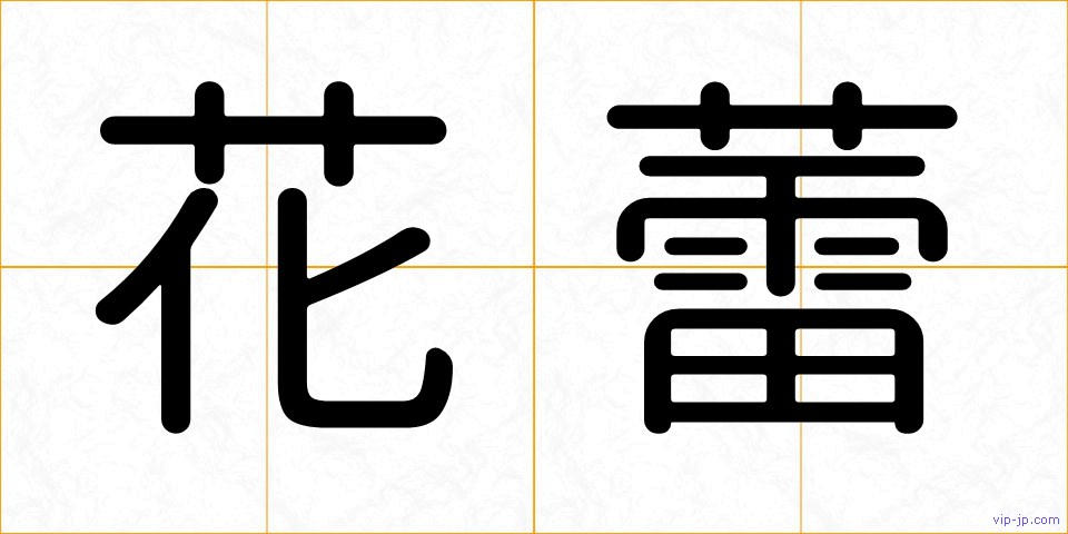 花蕾の画像