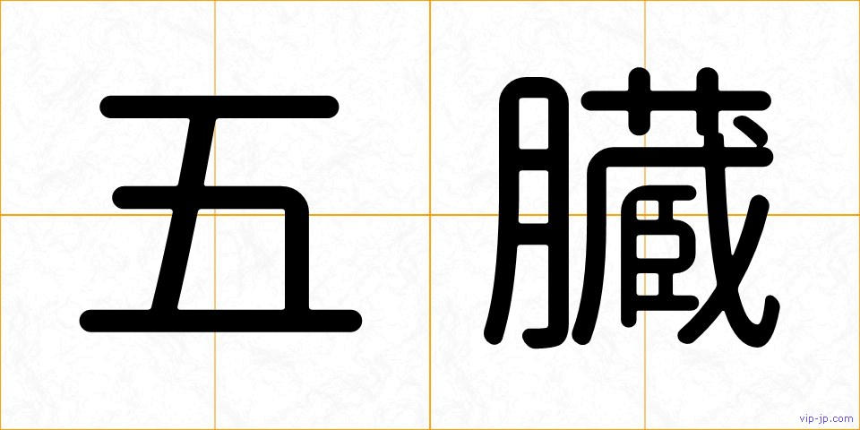五臓の画像