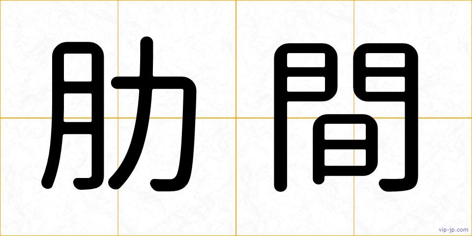 肋間の画像