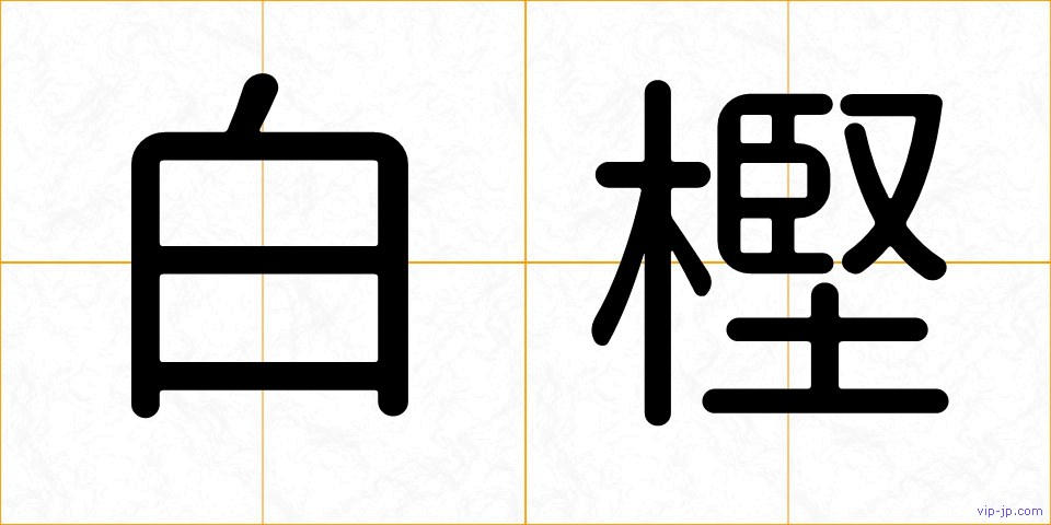白樫の画像