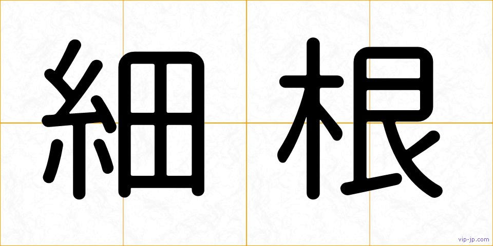 細根の画像