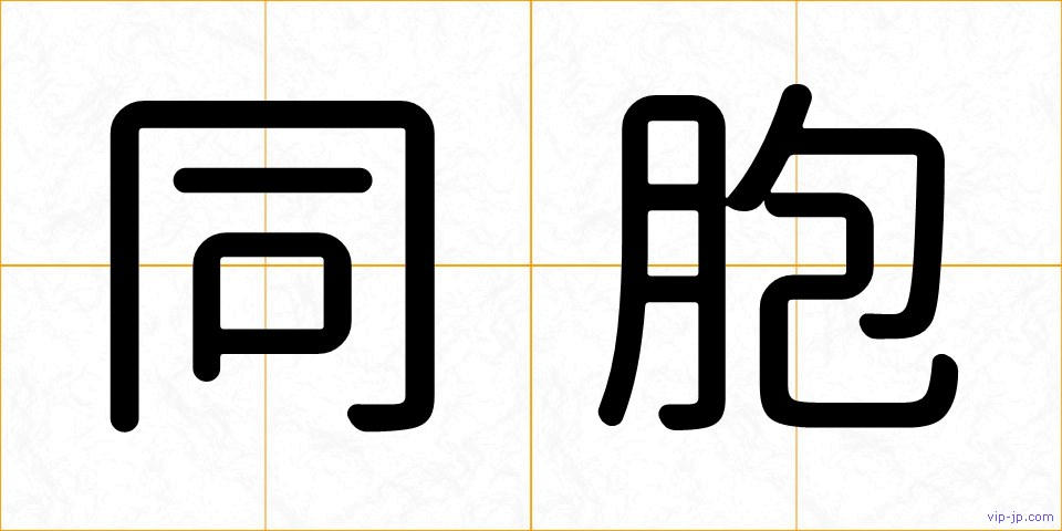 同胞の画像