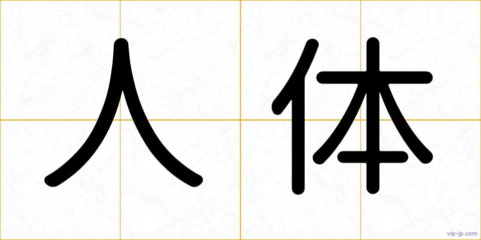 人体の画像