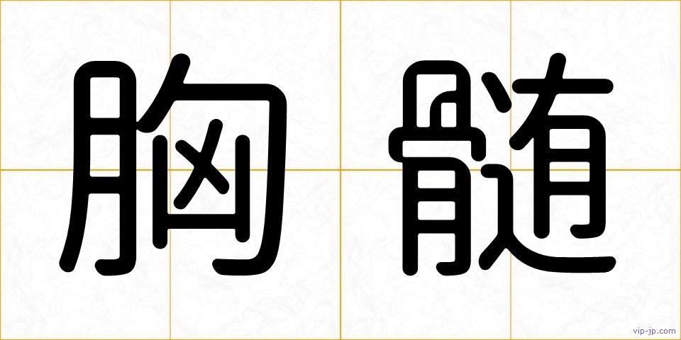 胸髄の画像