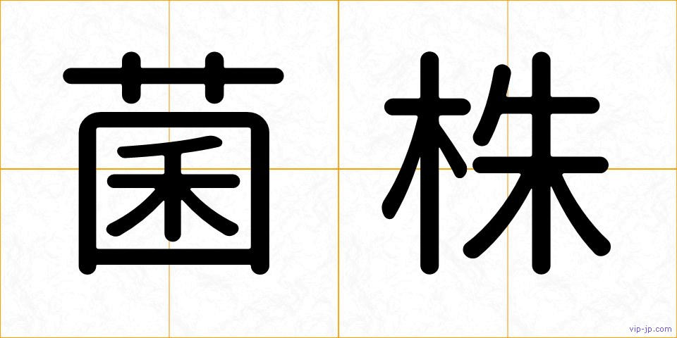 菌株の画像