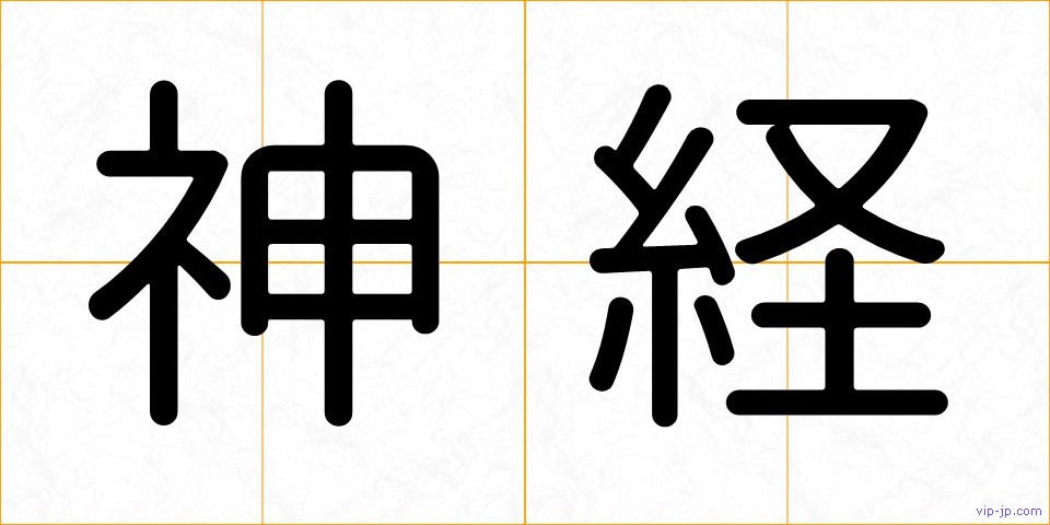 神経の画像