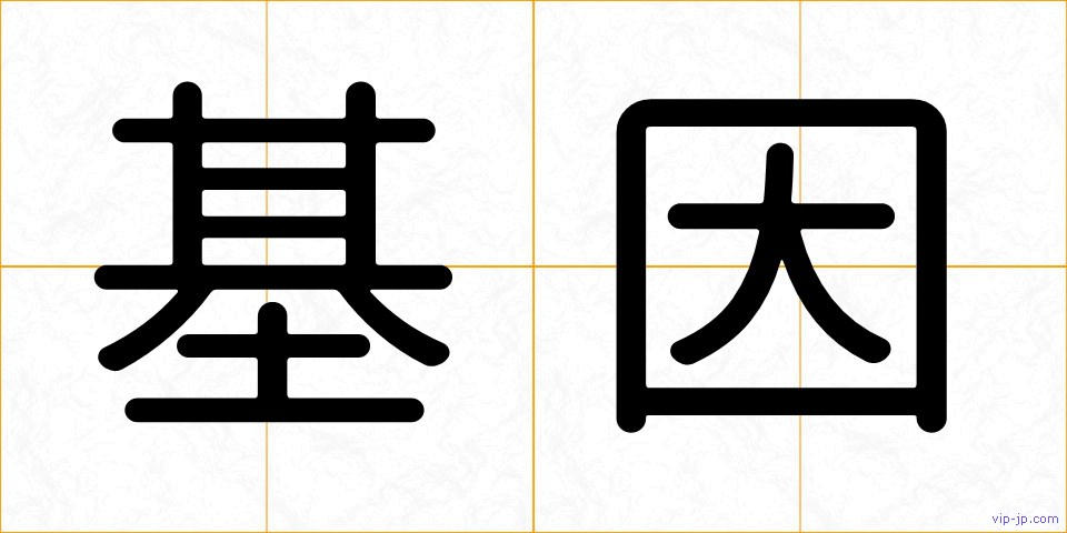 基因の画像