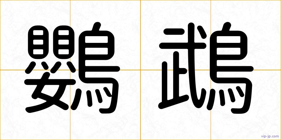 鸚鵡の画像