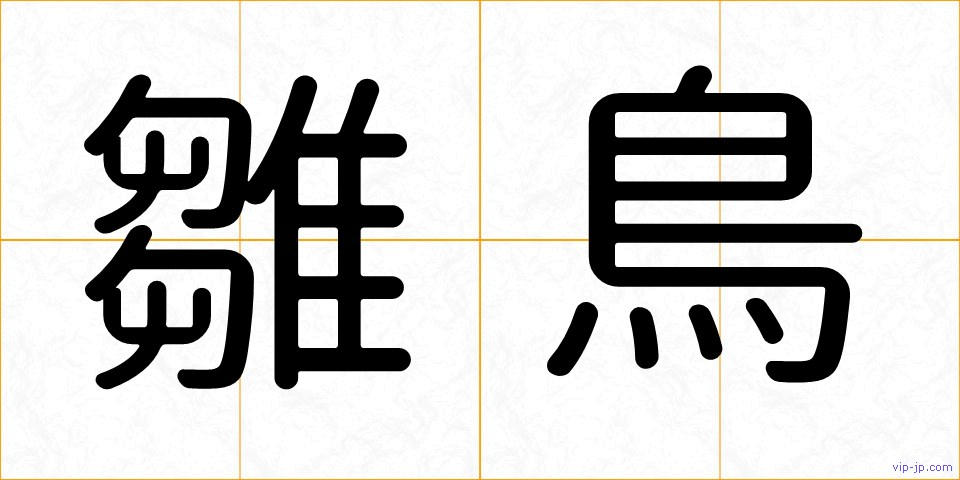 雛鳥の画像
