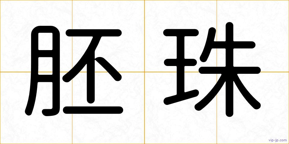 胚珠の画像