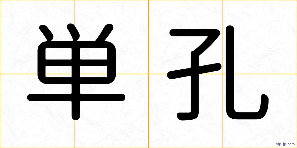 単孔の画像
