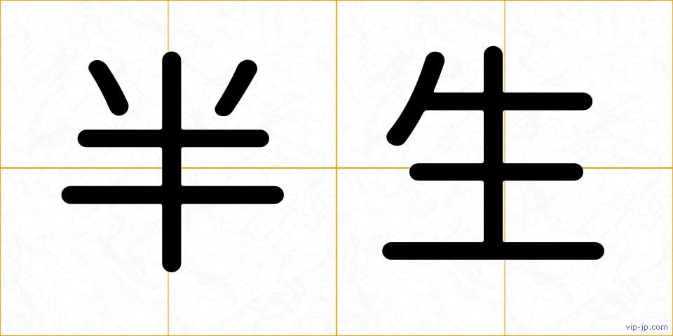 半生の画像