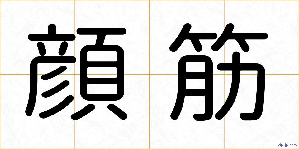 顔筋の画像