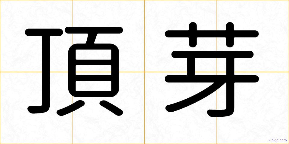 頂芽の画像