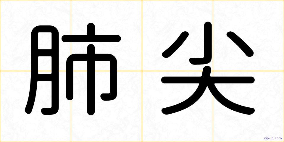 肺尖の画像