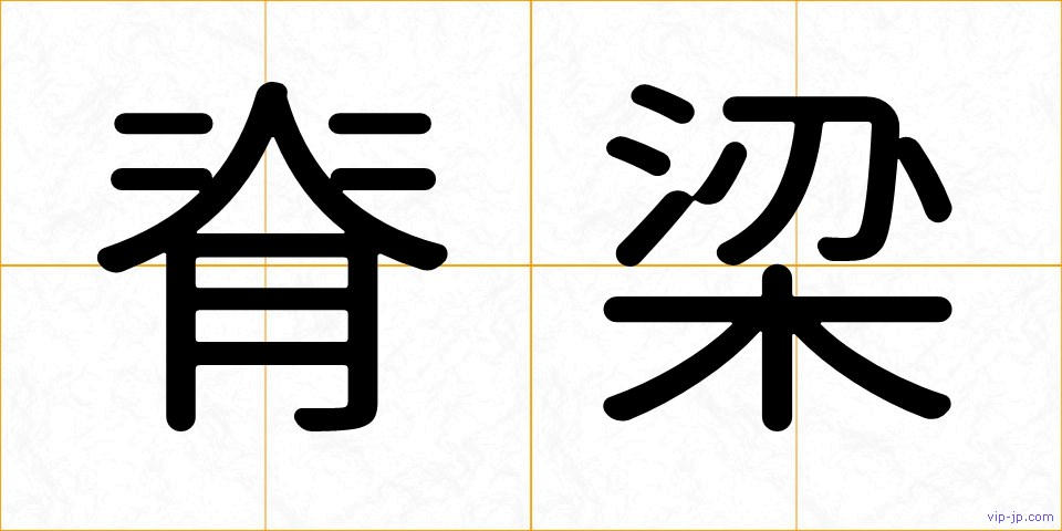 脊梁の画像