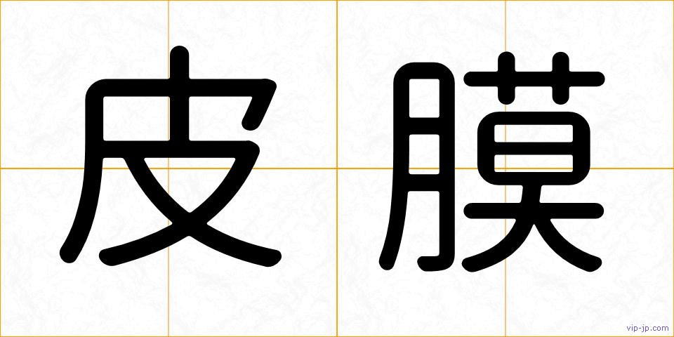皮膜の画像