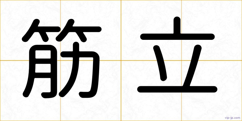 筋立の画像