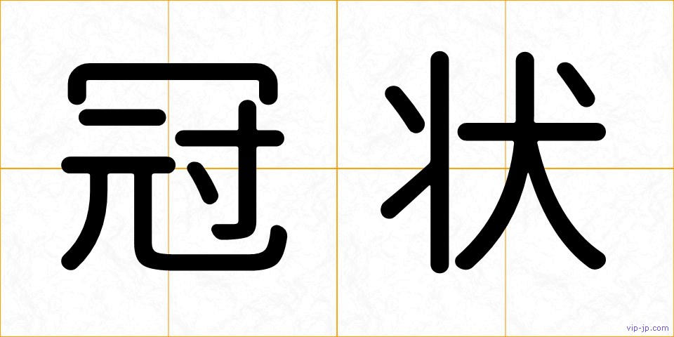 冠状の画像