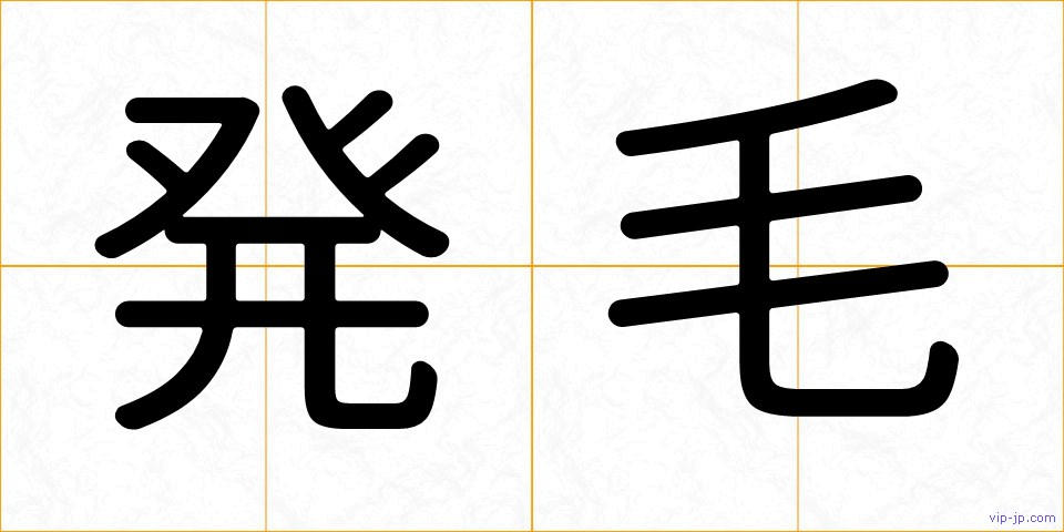 発毛の画像