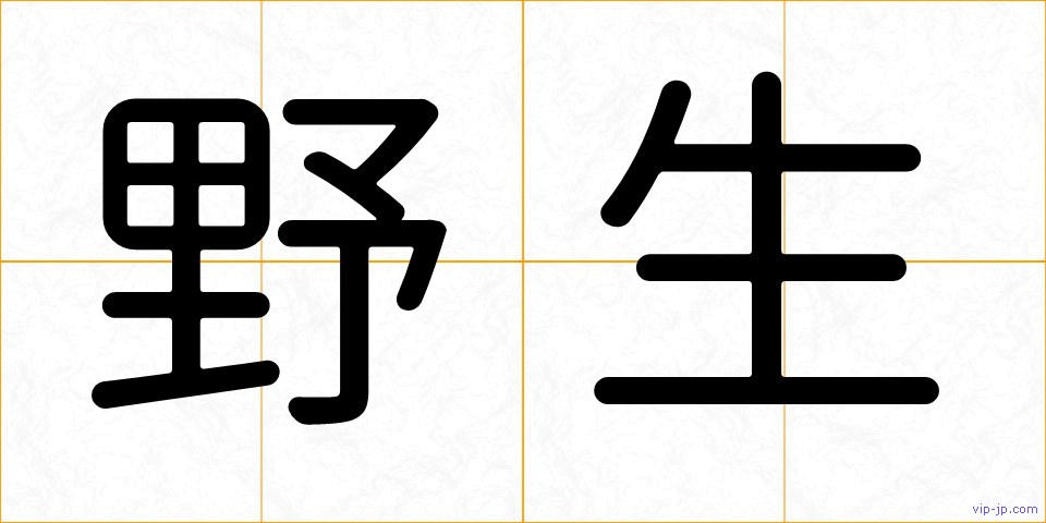 野生の画像