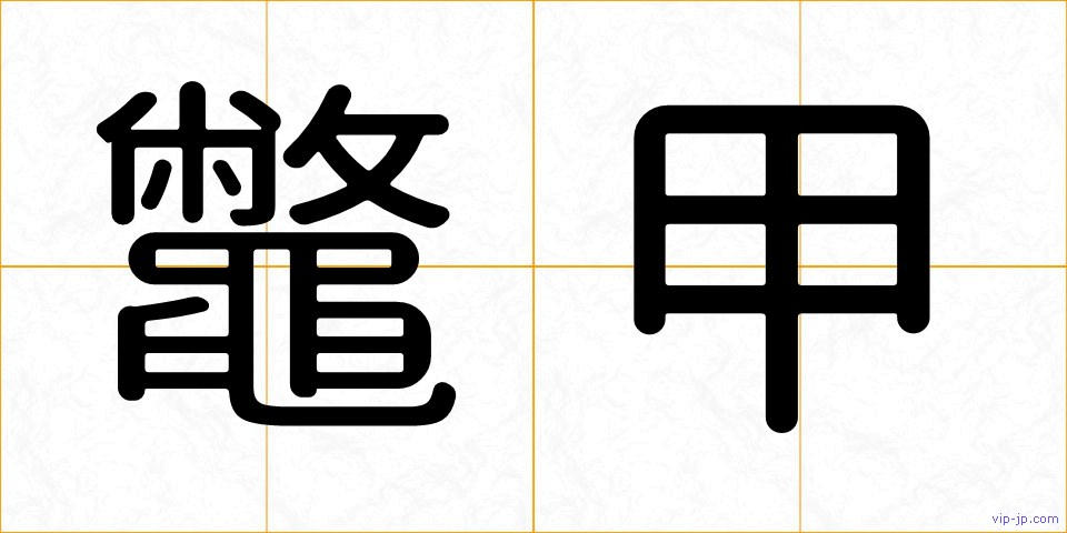 鼈甲の画像