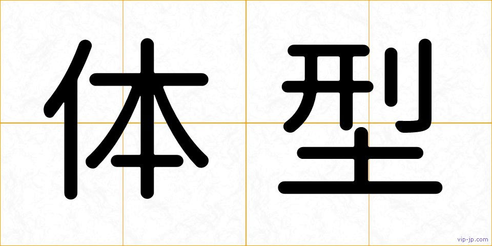 体型の画像