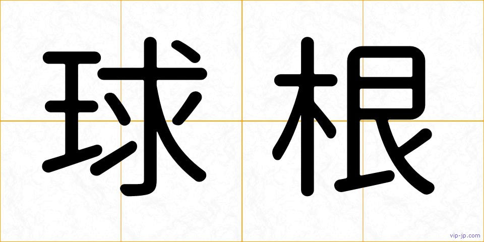 球根の画像