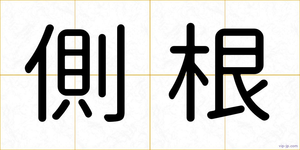 側根の画像