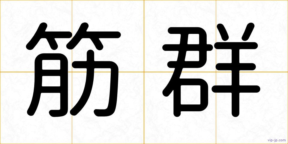筋群の画像